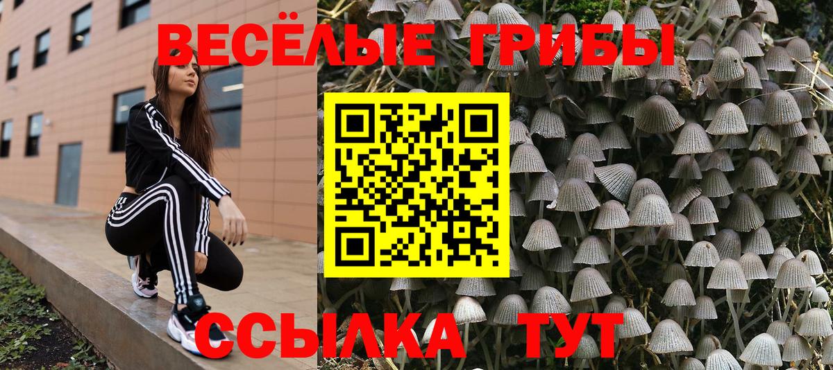 Галлюциногенные грибы ЛСД Клин