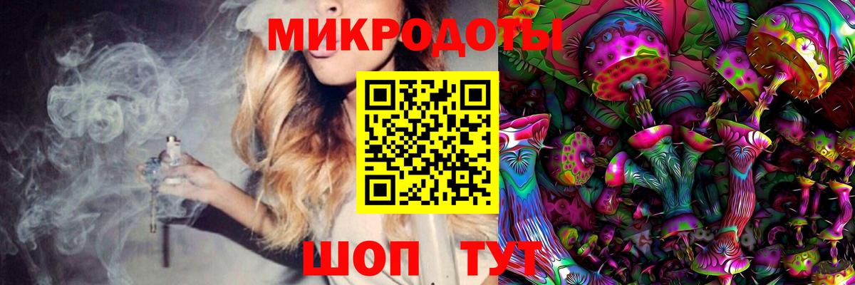 Псилоцибиновые грибы прущие грибы  Вход с VPN  Клин 